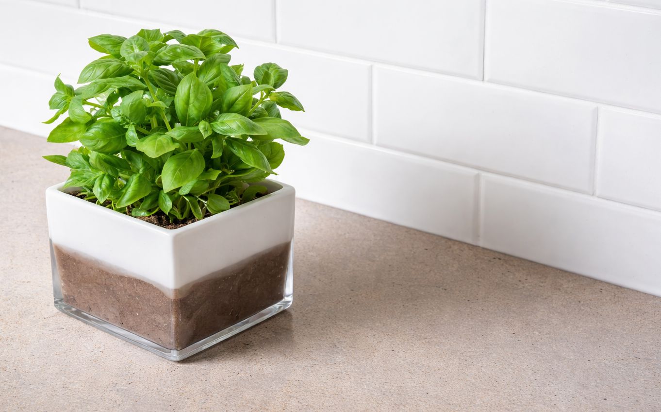 Blat kuchenny z konglomeratu wykonany na wymiar, szary – Caesarstone Primordia – matowy